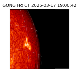gong - 2025-03-17T19:00:42