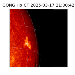 gong - 2025-03-17T21:00:42