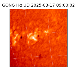 gong - 2025-03-17T09:00:02