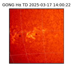 gong - 2025-03-17T14:00:22