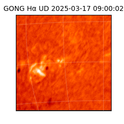 gong - 2025-03-17T09:00:02