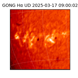 gong - 2025-03-17T09:00:02