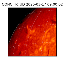 gong - 2025-03-17T09:00:02