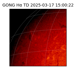 gong - 2025-03-17T15:00:22