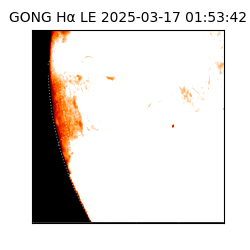 gong - 2025-03-17T01:53:42