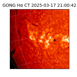 gong - 2025-03-17T21:00:42