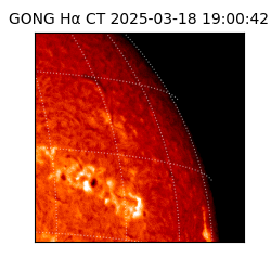gong - 2025-03-18T19:00:42