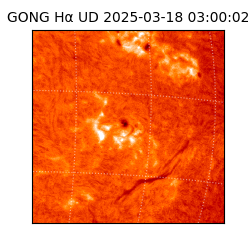 gong - 2025-03-18T03:00:02