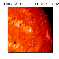 gong - 2025-03-18T09:01:02