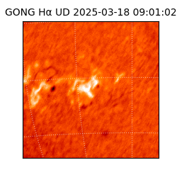 gong - 2025-03-18T09:01:02