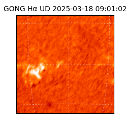 gong - 2025-03-18T09:01:02