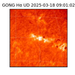 gong - 2025-03-18T09:01:02
