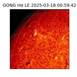 gong - 2025-03-18T00:59:42