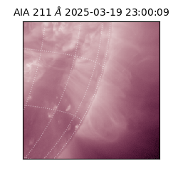 saia - 2025-03-19T23:00:09.632000