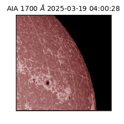 saia - 2025-03-19T04:00:28.710000