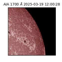 saia - 2025-03-19T12:00:28.718000