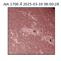 saia - 2025-03-19T08:00:28.709000