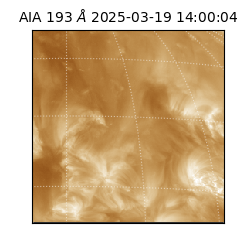 saia - 2025-03-19T14:00:04.843000