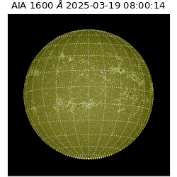 saia - 2025-03-19T08:00:14.125000