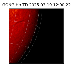 gong - 2025-03-19T12:00:22