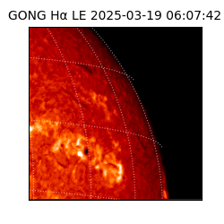 gong - 2025-03-19T06:07:42