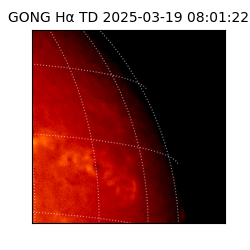 gong - 2025-03-19T08:01:22