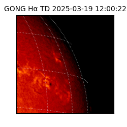 gong - 2025-03-19T12:00:22