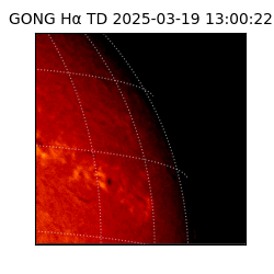 gong - 2025-03-19T13:00:22