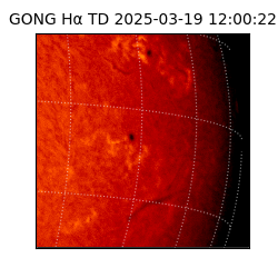 gong - 2025-03-19T12:00:22