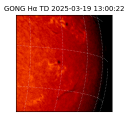 gong - 2025-03-19T13:00:22