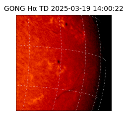 gong - 2025-03-19T14:00:22