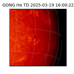 gong - 2025-03-19T16:00:22