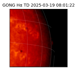 gong - 2025-03-19T08:01:22