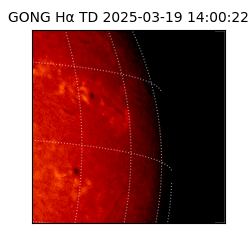 gong - 2025-03-19T14:00:22
