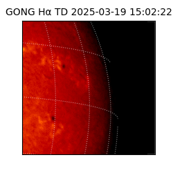 gong - 2025-03-19T15:02:22