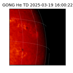 gong - 2025-03-19T16:00:22