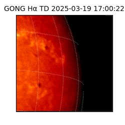gong - 2025-03-19T17:00:22