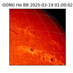 gong - 2025-03-19T01:00:02