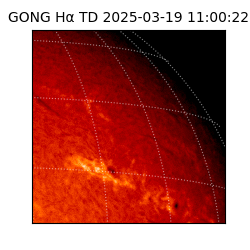 gong - 2025-03-19T11:00:22