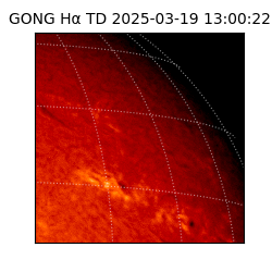 gong - 2025-03-19T13:00:22