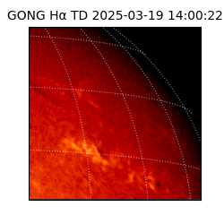 gong - 2025-03-19T14:00:22