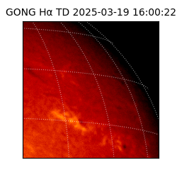 gong - 2025-03-19T16:00:22