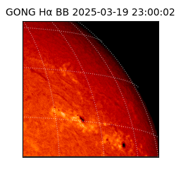 gong - 2025-03-19T23:00:02