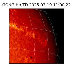 gong - 2025-03-19T11:00:22