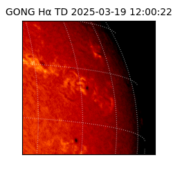 gong - 2025-03-19T12:00:22