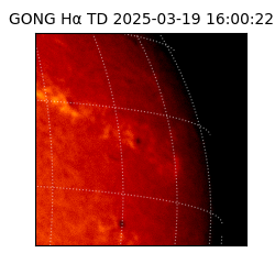 gong - 2025-03-19T16:00:22