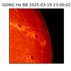 gong - 2025-03-19T23:00:02
