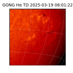 gong - 2025-03-19T08:01:22