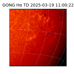 gong - 2025-03-19T11:00:22