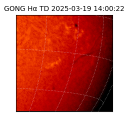 gong - 2025-03-19T14:00:22